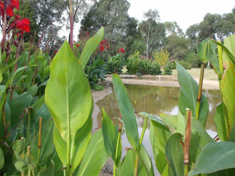 55 Honniball Drive, Tocumwal NSW 2714