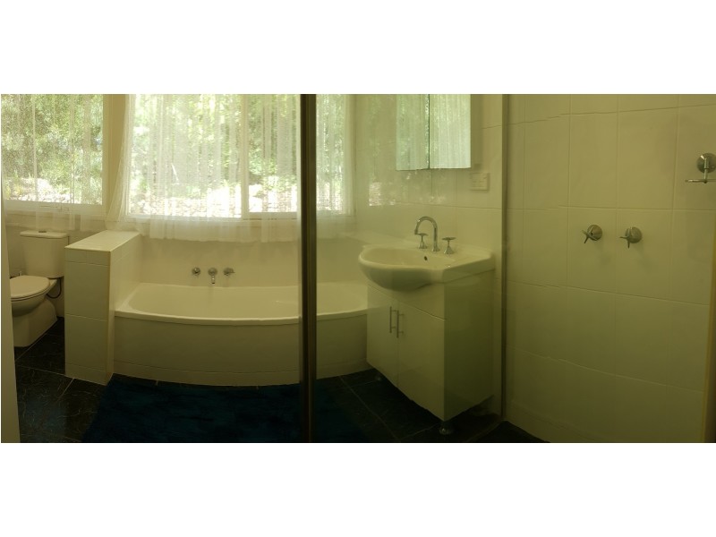 124 Pinnacle Road, Tyalgum. NSW. 2484, Tyalgum NSW 2484