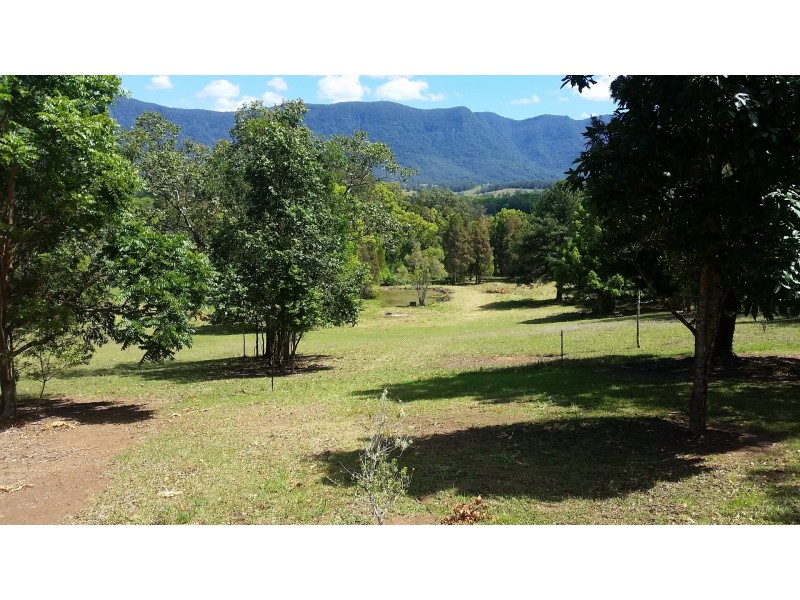 124 Pinnacle Road, Tyalgum. NSW. 2484, Tyalgum NSW 2484