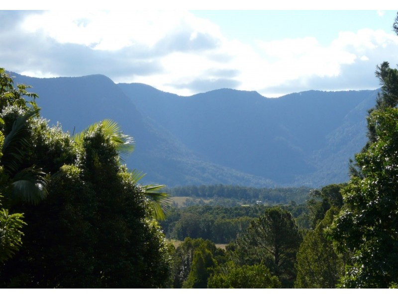 124 Pinnacle Road, Tyalgum. NSW. 2484, Tyalgum NSW 2484