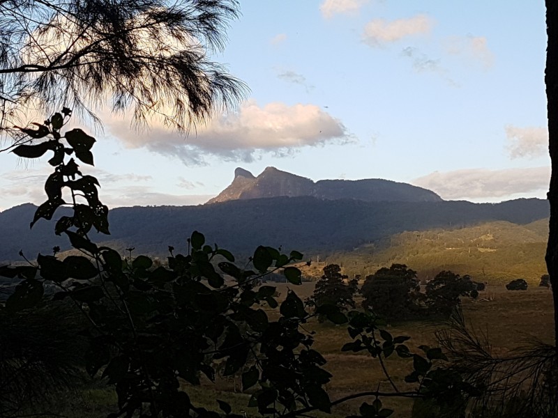 124 Pinnacle Road, Tyalgum. NSW. 2484, Tyalgum NSW 2484