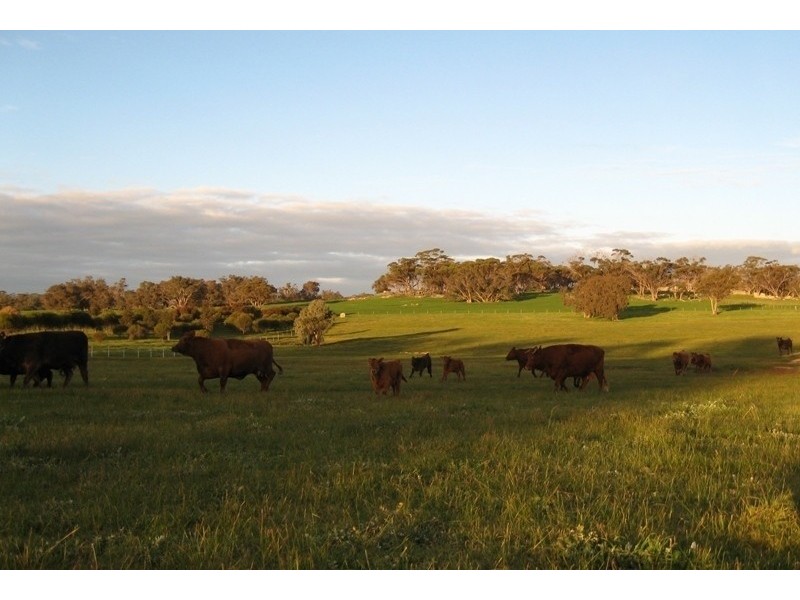 Lot 6 Petchell Road, Williams WA 6391