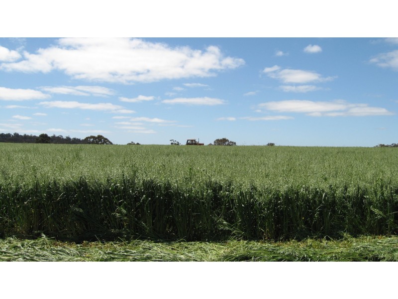 Lot 6 Petchell Road, Williams WA 6391