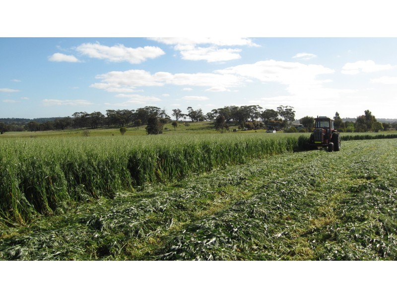 Lot 6 Petchell Road, Williams WA 6391