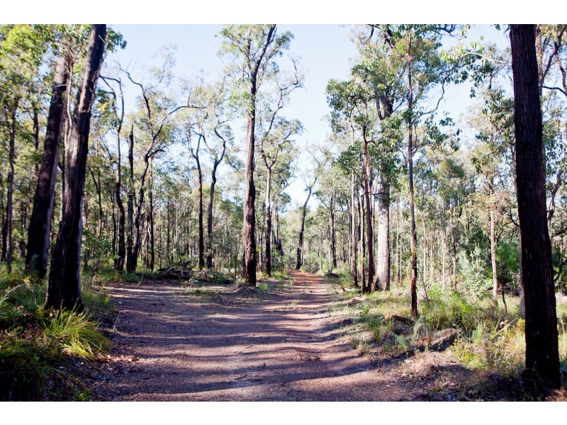 Lot 301 Hurst Road, Argyle WA 6239