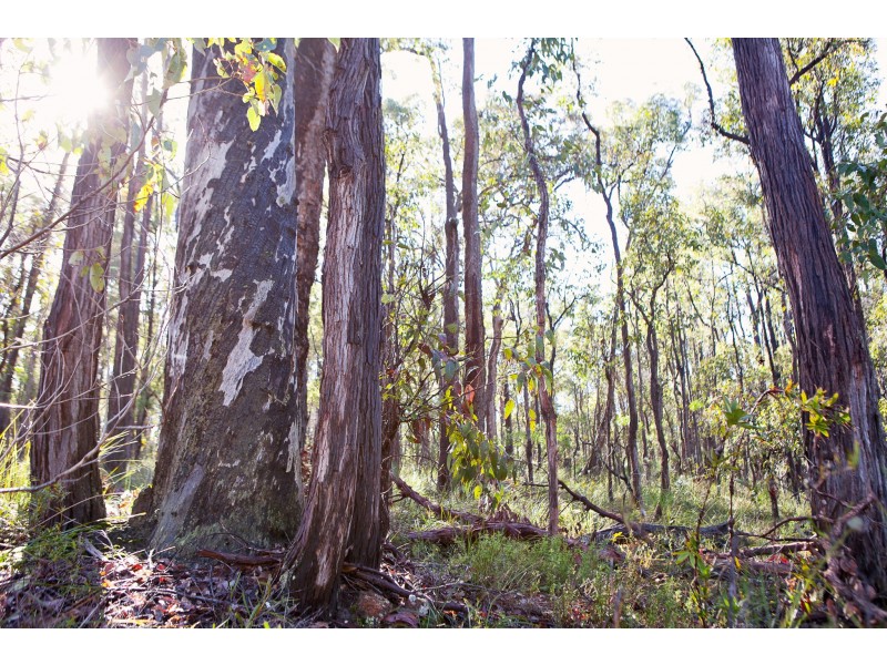 Lot 301 Hurst Road, Argyle WA 6239