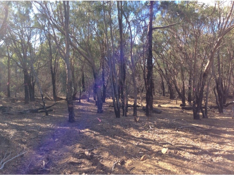 Lot 215 Connemara Drive, Brigadoon WA 6069