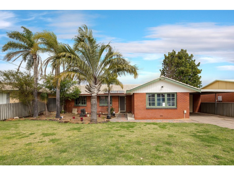 96 Mitchell Street, Spalding WA 6530