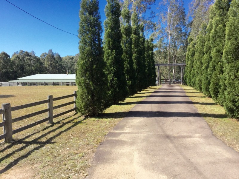 Abernethy NSW 2325