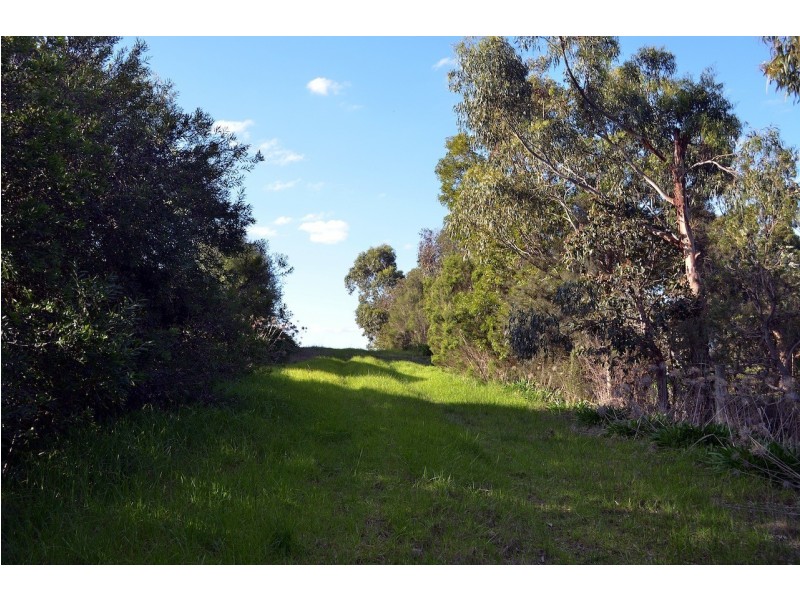 62 Beach Hill Avenue, Somers VIC 3927