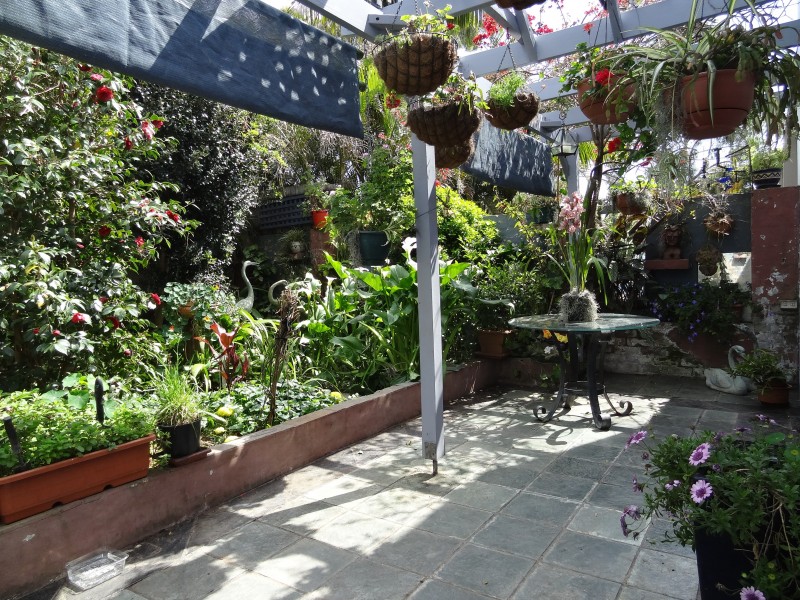 16 MacKenzie Street, Leichhardt NSW 2040