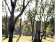 7134 Warialda Rd, Inverell NSW 2360