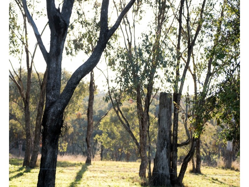 7134 Warialda Rd, Inverell NSW 2360