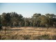 7134 Warialda Rd, Inverell NSW 2360