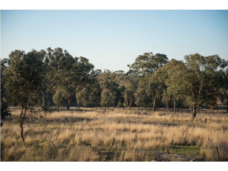 7134 Warialda Rd, Inverell NSW 2360
