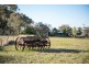 7134 Warialda Rd, Inverell NSW 2360