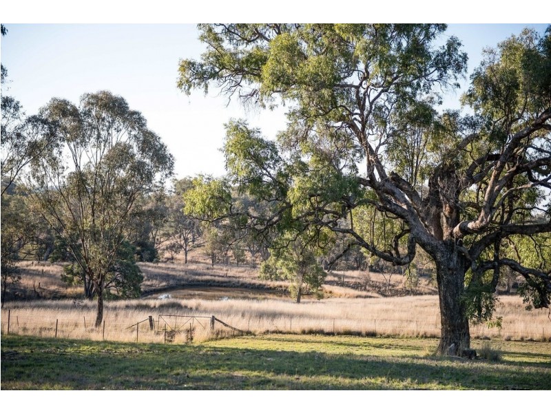 7134 Warialda Rd, Inverell NSW 2360