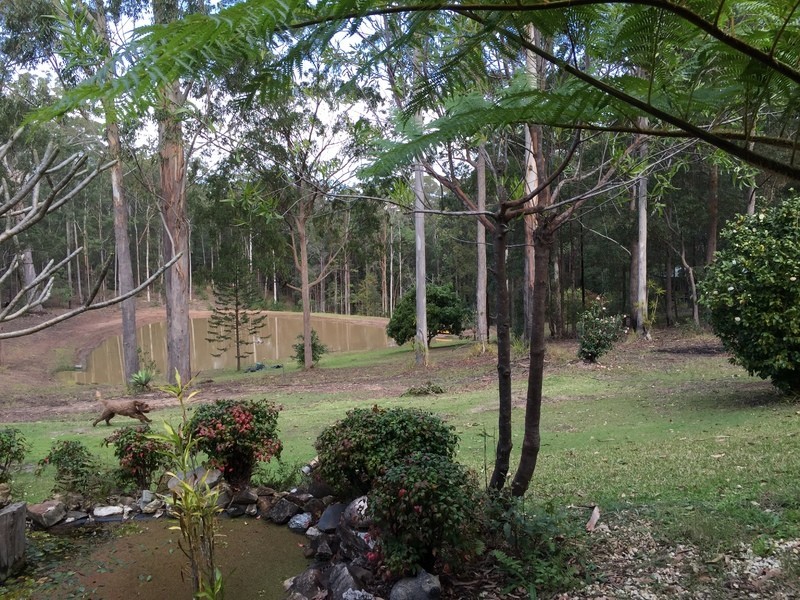 20  Bilbo Lane, Collombatti NSW 2440