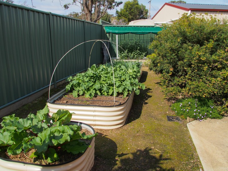 20 Bridport Street, Avoca VIC 3467