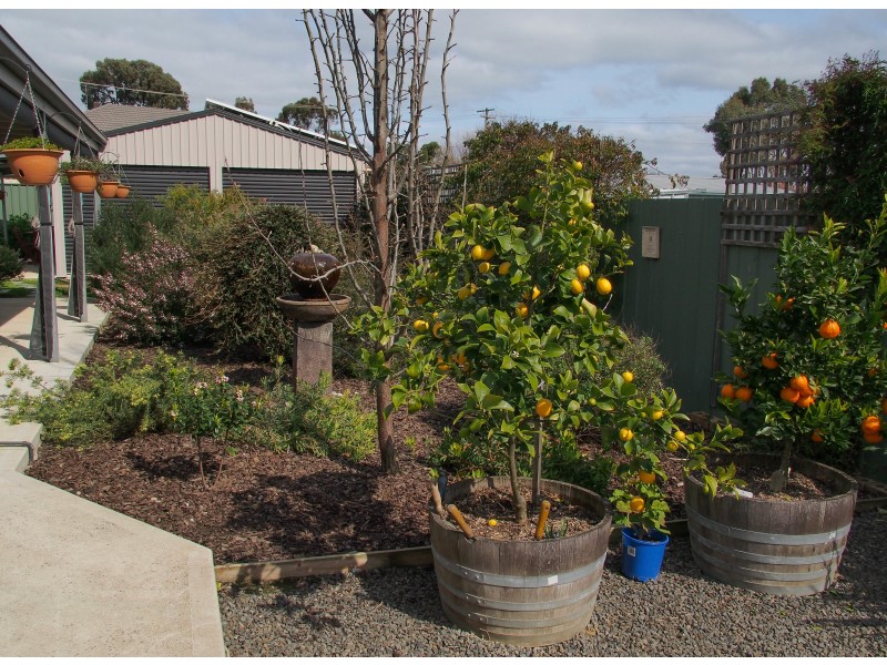 20 Bridport Street, Avoca VIC 3467