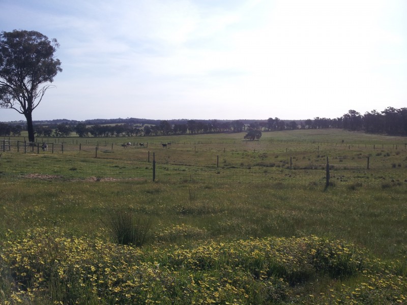 80 FOREST ROAD, Killawarra VIC 3678