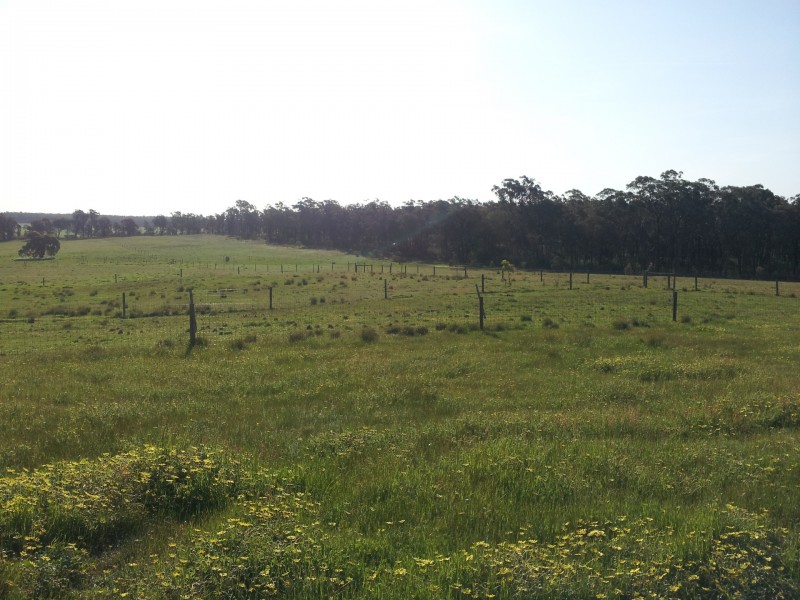 80 FOREST ROAD, Killawarra VIC 3678