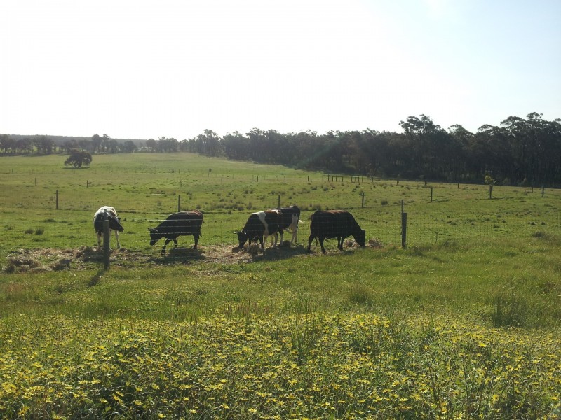 80 FOREST ROAD, Killawarra VIC 3678