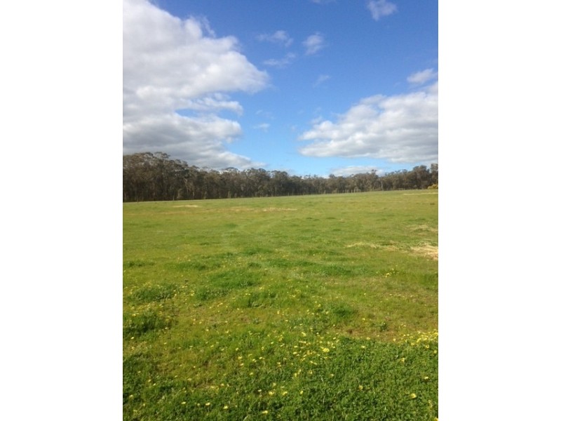 80 FOREST ROAD, Killawarra VIC 3678