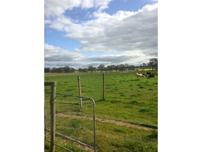 80 FOREST ROAD, Killawarra VIC 3678