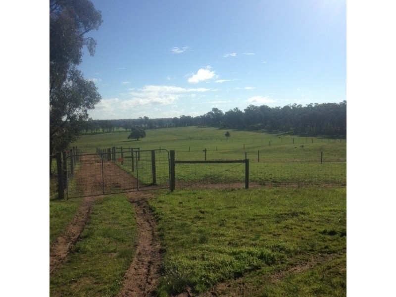 80 FOREST ROAD, Killawarra VIC 3678