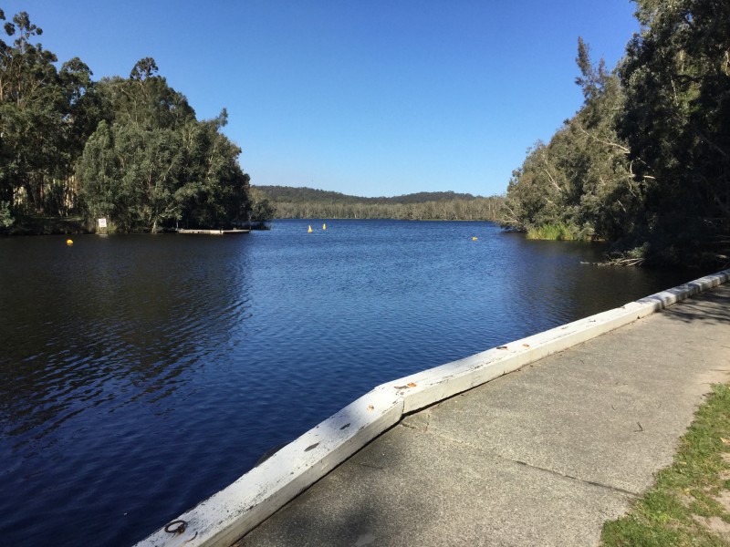 65  Whimbrel Drive, Nerong NSW 2423