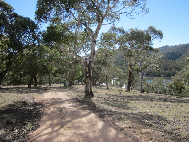 Jindabyne NSW 2627
