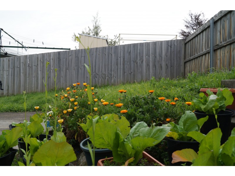 1/67 Springfield Avenue, West Moonah TAS 7009