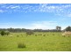 467 Gellibrand Tonks Rd, Earlston VIC 3669