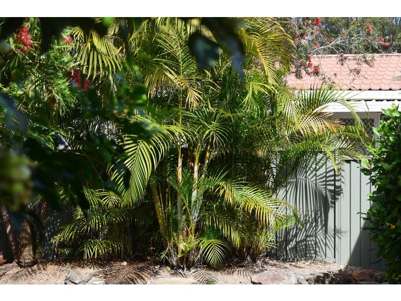 18/45 Old Coast Road, Nambucca Heads NSW 2448