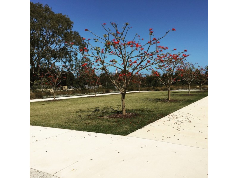 Lot 44 Crown Terrace, Coogee WA 6166