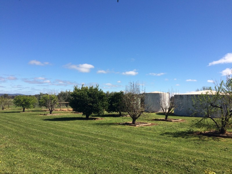 26 Scott’s Lane, Gulgong NSW 2852