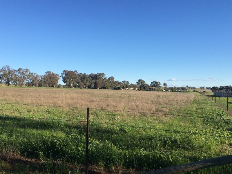 26 Scott’s Lane, Gulgong NSW 2852