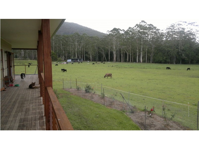 436 Careys Road, Hillville NSW 2430