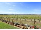 20 Harvest Drive, Mclaren Vale SA 5171
