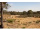 311 Connemara Drive, Brigadoon WA 6069