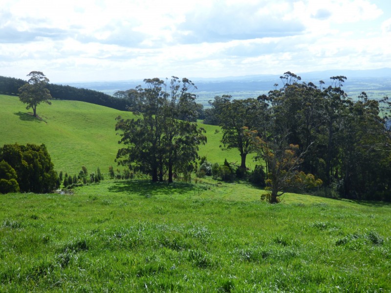 312 Rogers Road, Trafalgar South VIC 3824