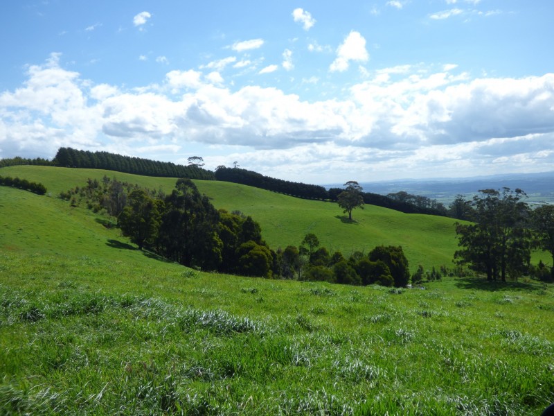 312 Rogers Road, Trafalgar South VIC 3824