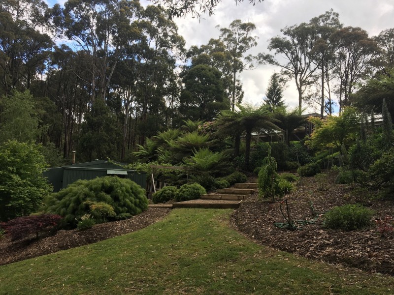 137 Wallaby Way, Pheasant Creek VIC 3757