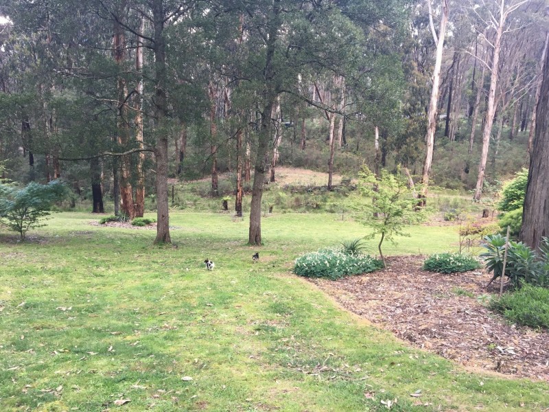 137 Wallaby Way, Pheasant Creek VIC 3757