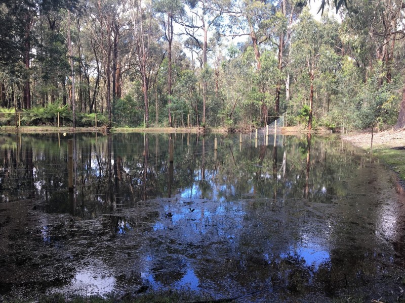 137 Wallaby Way, Pheasant Creek VIC 3757