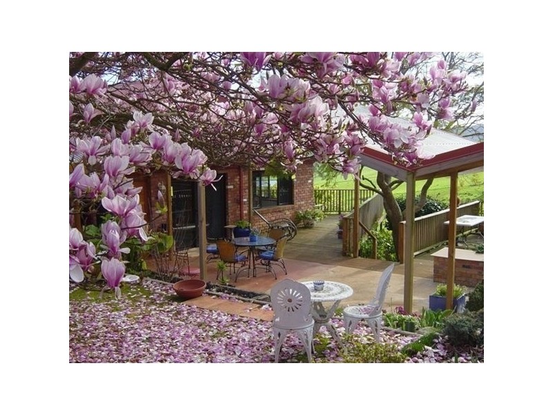 727 Melrose Road, Melrose TAS 7310