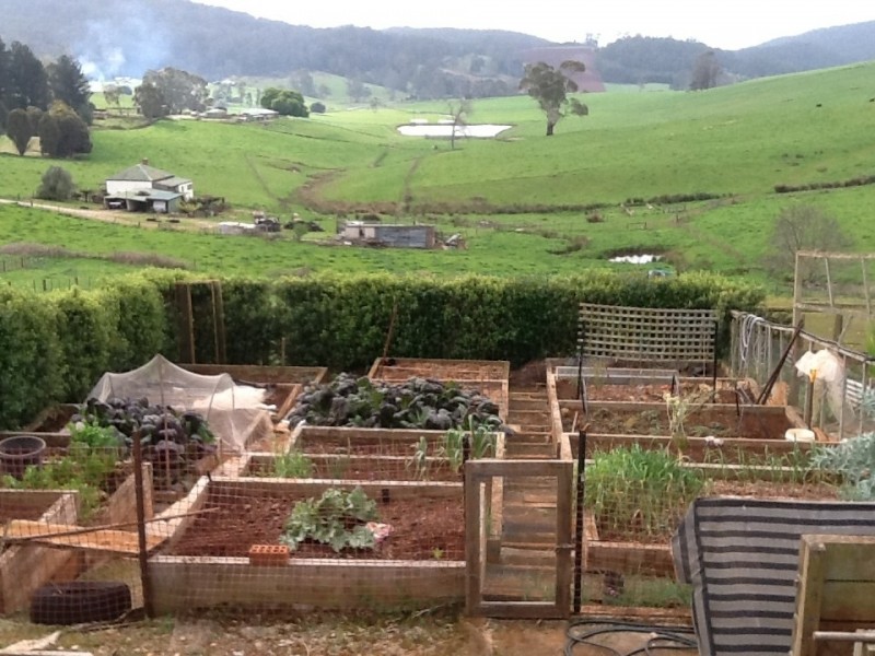 727 Melrose Road, Melrose TAS 7310