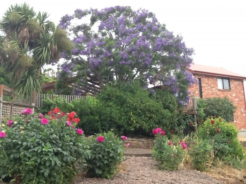 727 Melrose Road, Melrose TAS 7310