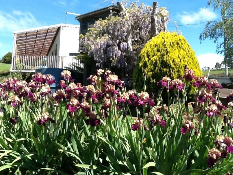 727 Melrose Road, Melrose TAS 7310